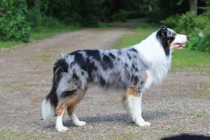 26914166_10156165012553189_1526396153_n