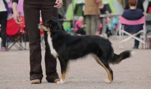 27018328_10156165021123189_2013704974_o